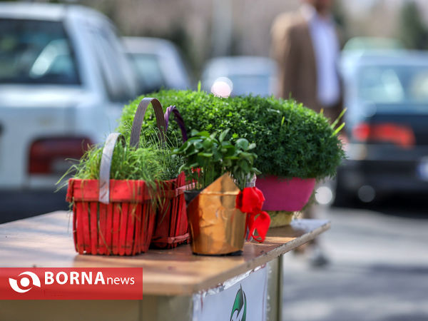 مشارکت در نظافت شهر