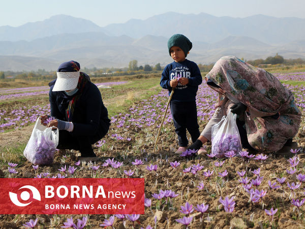 لباس سنتی زنان آذربایجان