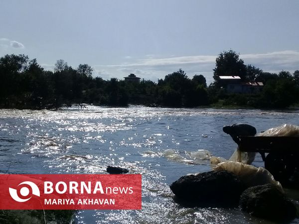 پسیخان رشت جاذبه طبیعی و گردشگری استان گیلان