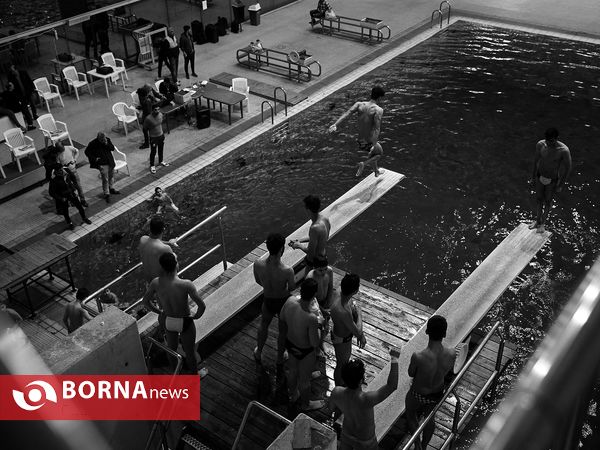 مرحله نهایی لیگ برتر شیرجه