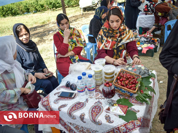 نخستین جشنواره استانی گیلاس در کرمانشاه