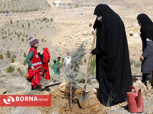 آیین روز درختکاری در شیراز