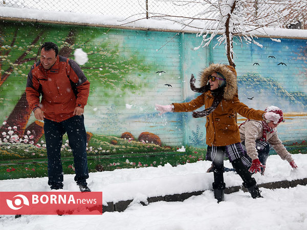 بارش برف در تهران -2