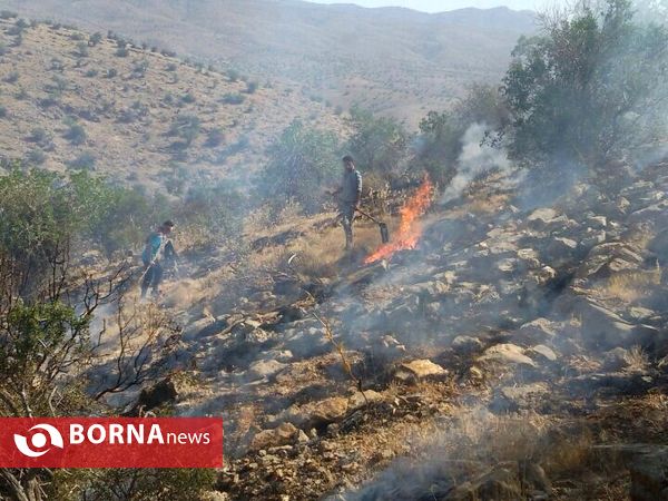 آتش سوزی در جنگل های پاسارگاد