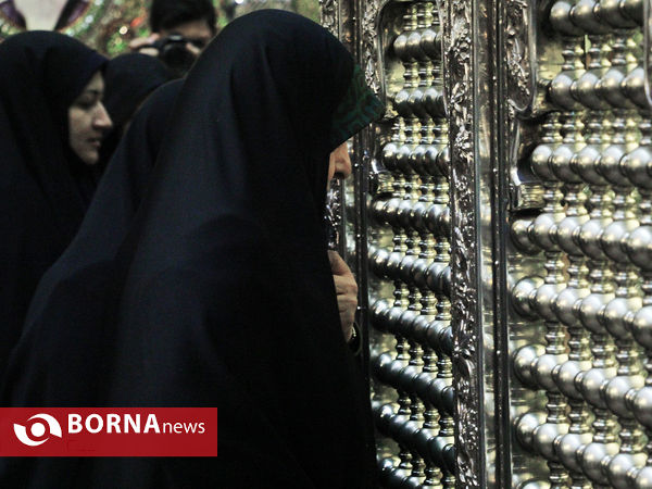 سفر معاون رئیس جمهور و رئیس سازمان حفاظت محیط زیست کشور به شیراز