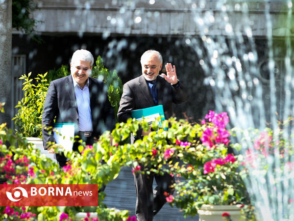 حاشیه امروز جلسه هیئت دولت