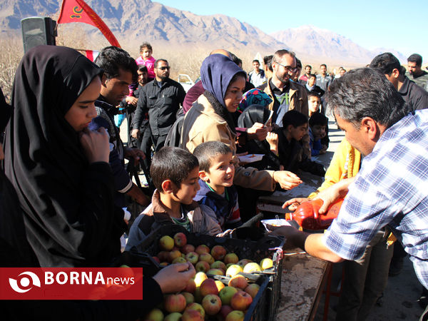 بزرگترین گردهمایی عزاداران رضوی فارس در شهرستان بوانات