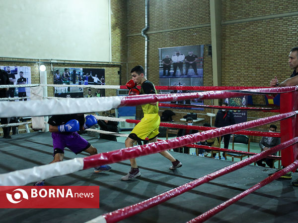 تمرین تیم ملی بوکس