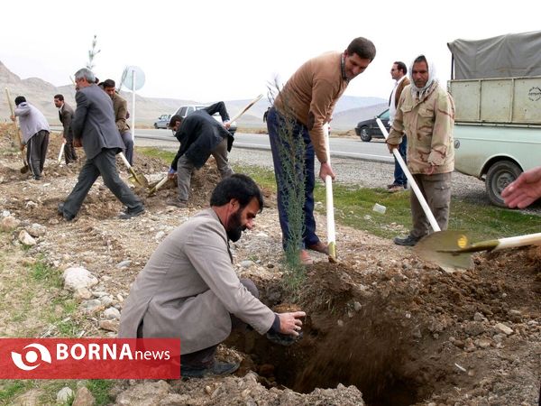 آغازفعالیتهای درختکاری در رومشکان درآستانه هفته منابع طبیعی