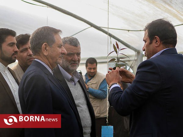 بازدید معاون اول رئیس جمهوری از چند پروژه کشاورزی و صنعتی در شهرستان رباط کریم