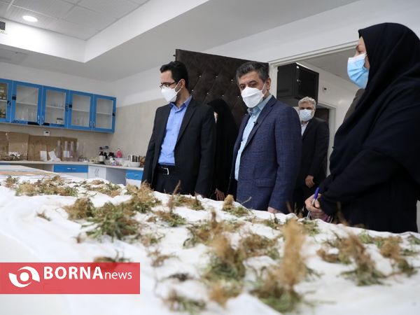 سفر معاون وزیر بهداشت به قم
