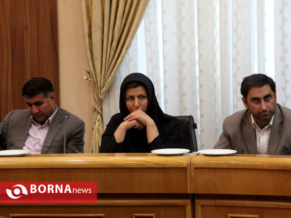 شورای برنامه ریزی و توسعه استان فارس