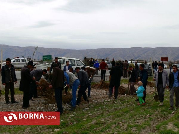 آغازفعالیتهای درختکاری در رومشکان درآستانه هفته منابع طبیعی