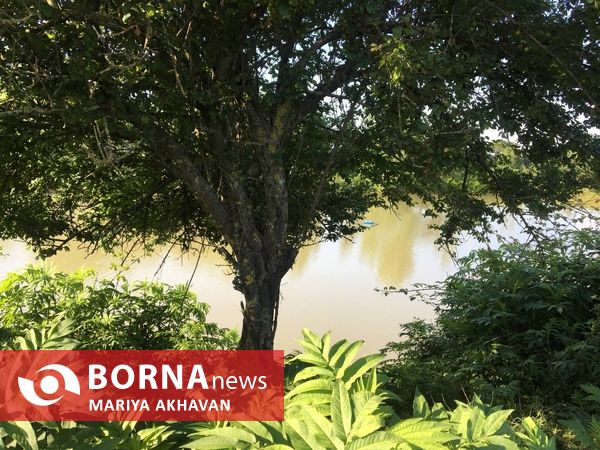 پسیخان رشت جاذبه طبیعی و گردشگری استان گیلان