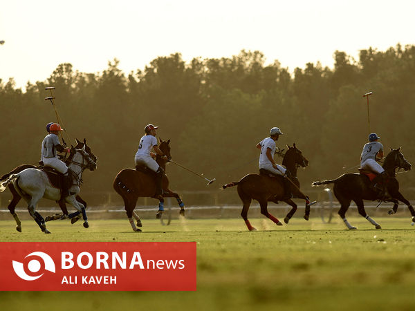 لیگ  ملی چوگان