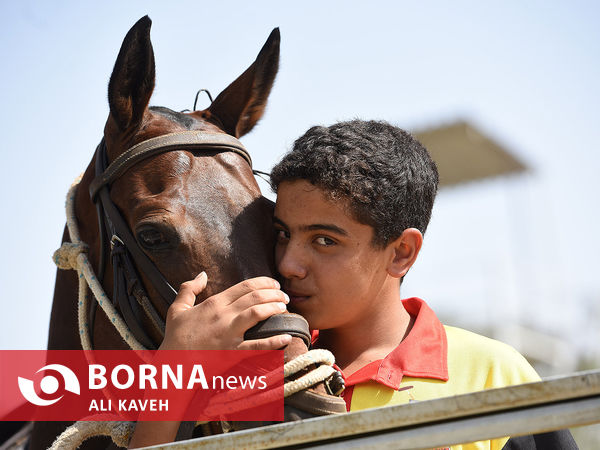 لیگ  ملی چوگان