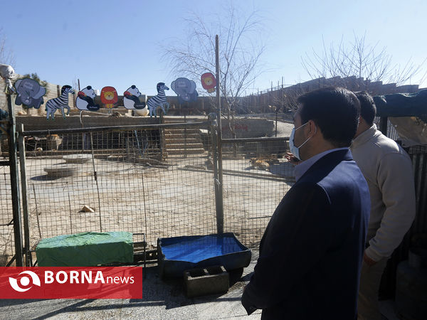 پناهگاه حیوانات در شیراز؛ جایی برای دوستی انسان و حیوان