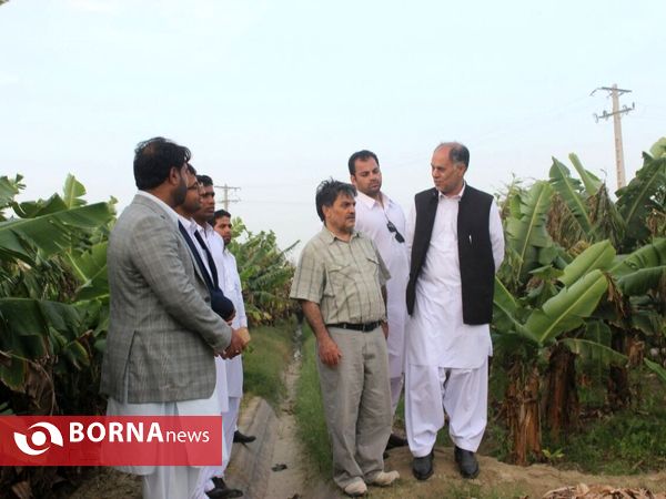 بازدید استاندار سیستان و بلوچستان از ظرفیت های کشاورزی بخش زرآباد