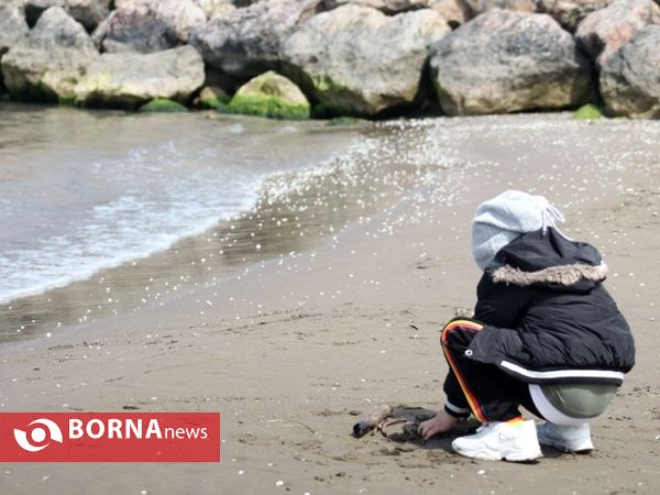 روز طبیعت _ منطقه آزاد انزلی