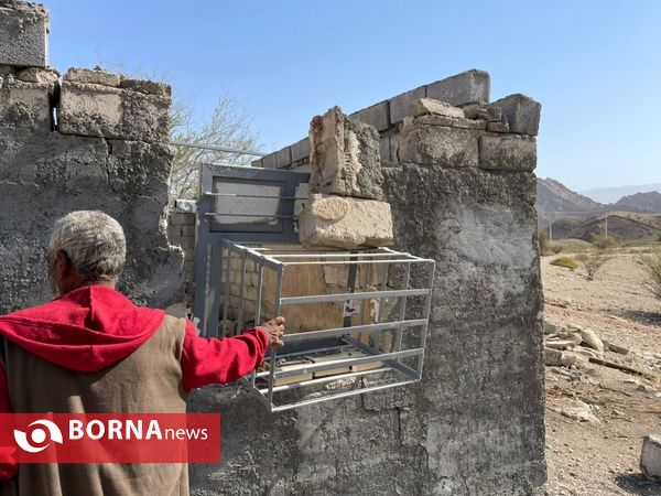 زلزله بندرعباس