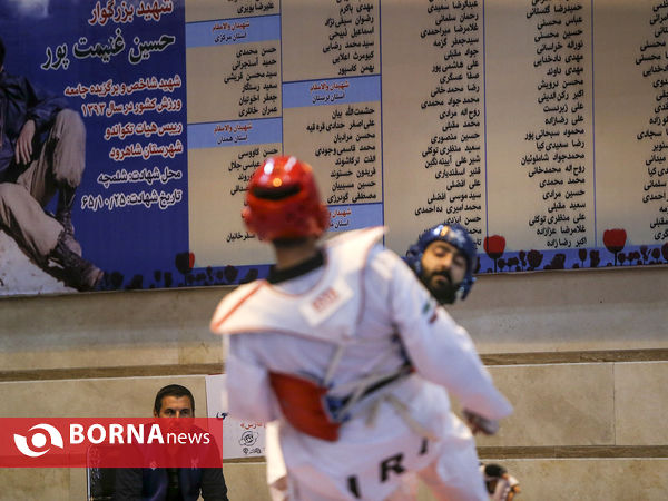 لیگ برتر تکواندو