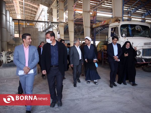 بازدید مدیرعامل بانک صنعت و معدن از طرح های تولیدی فارس