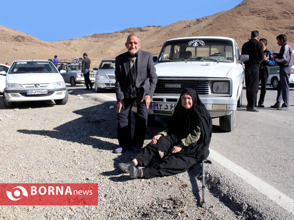 بزرگترین گردهمایی عزاداران رضوی فارس در شهرستان بوانات