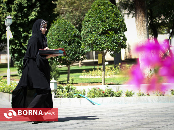 حاشیه امروز هیات دولت