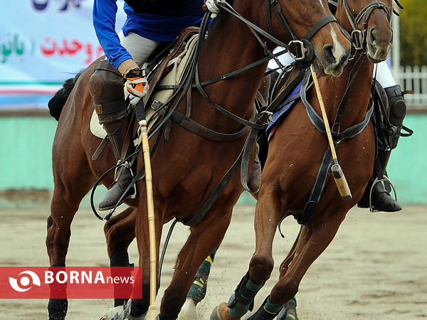 مسابقات چوگان بانوان جام وحدت