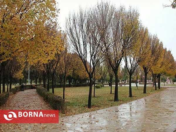 شيراز زیبای بارانی