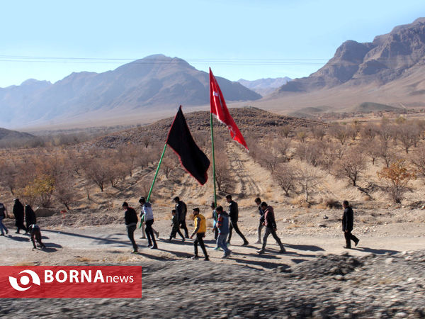 بزرگترین گردهمایی عزاداران رضوی فارس در شهرستان بوانات