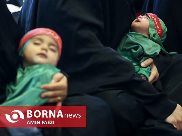 همایش شیرخوارگان حسینی در شیراز