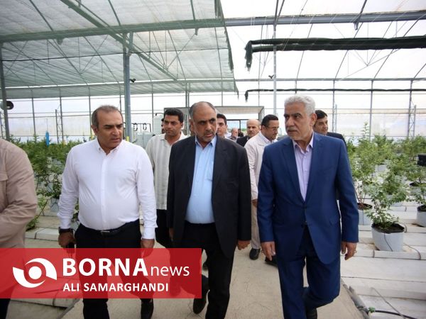 بازدید وزیر جهاد کشاورزی از ظرفیت های کشاورزی و شیلاتی بندرانزلی