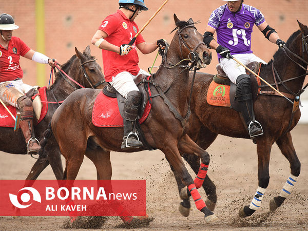 مسابقات چوگان جام قهرمانی باشگاه‌های کشور