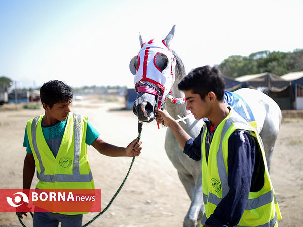 مسابقات کورس تهران - نوروزآباد