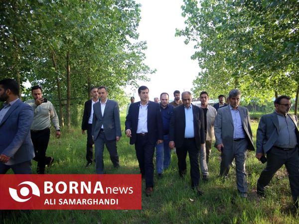 بازدید وزیر جهاد کشاورزی از ظرفیت های کشاورزی و شیلاتی بندرانزلی