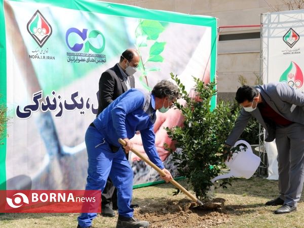 مراسم روز درختکاری در آکادمی ملی المپیک