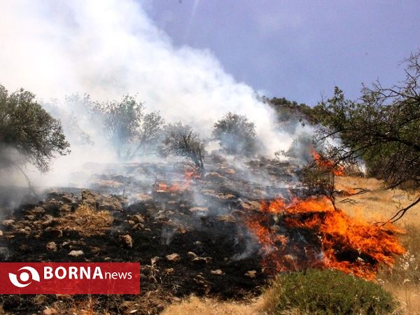 مهار آتش در ارتفاعات پاسارگاد
