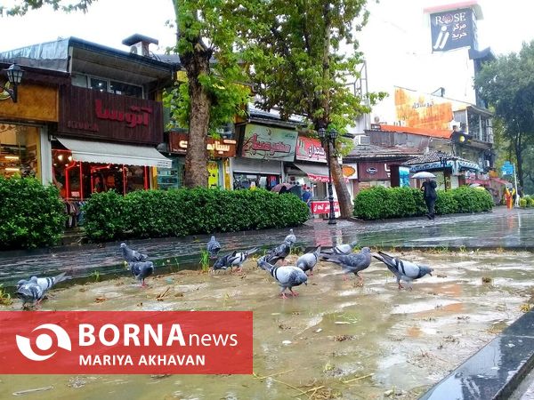 اولین بارش باران پاییزی در رشت _ مهرماه 1401