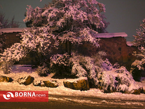 اولین برف زمستانی تهران