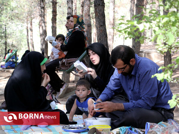 دعای عرفه در تپه الشهدای شیراز