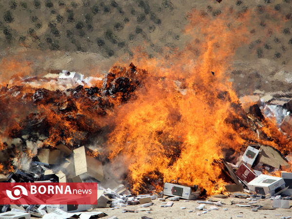 امحای 33 میلیون نخ سیگار قاچاق در شیراز