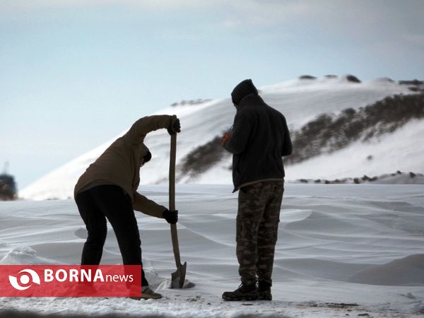 برف در غرب تهران