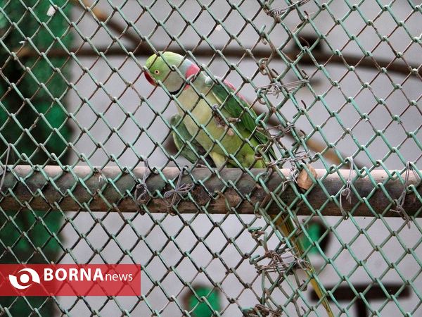 پارک ملی جانورشناسی دهلی نو