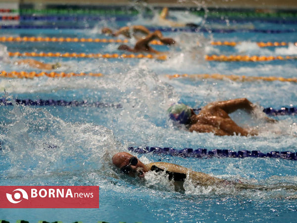 مسابقات شنا جام وحدت