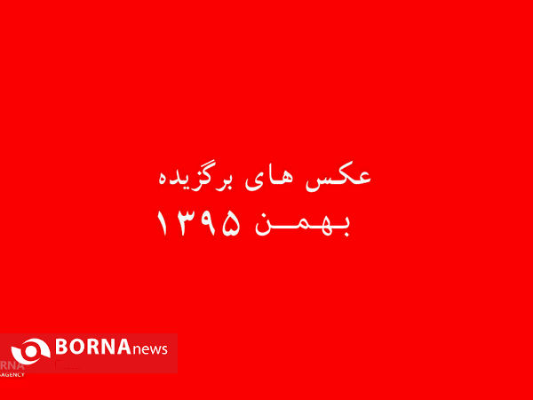 عکس های برگزیده بهمن  ۹۵