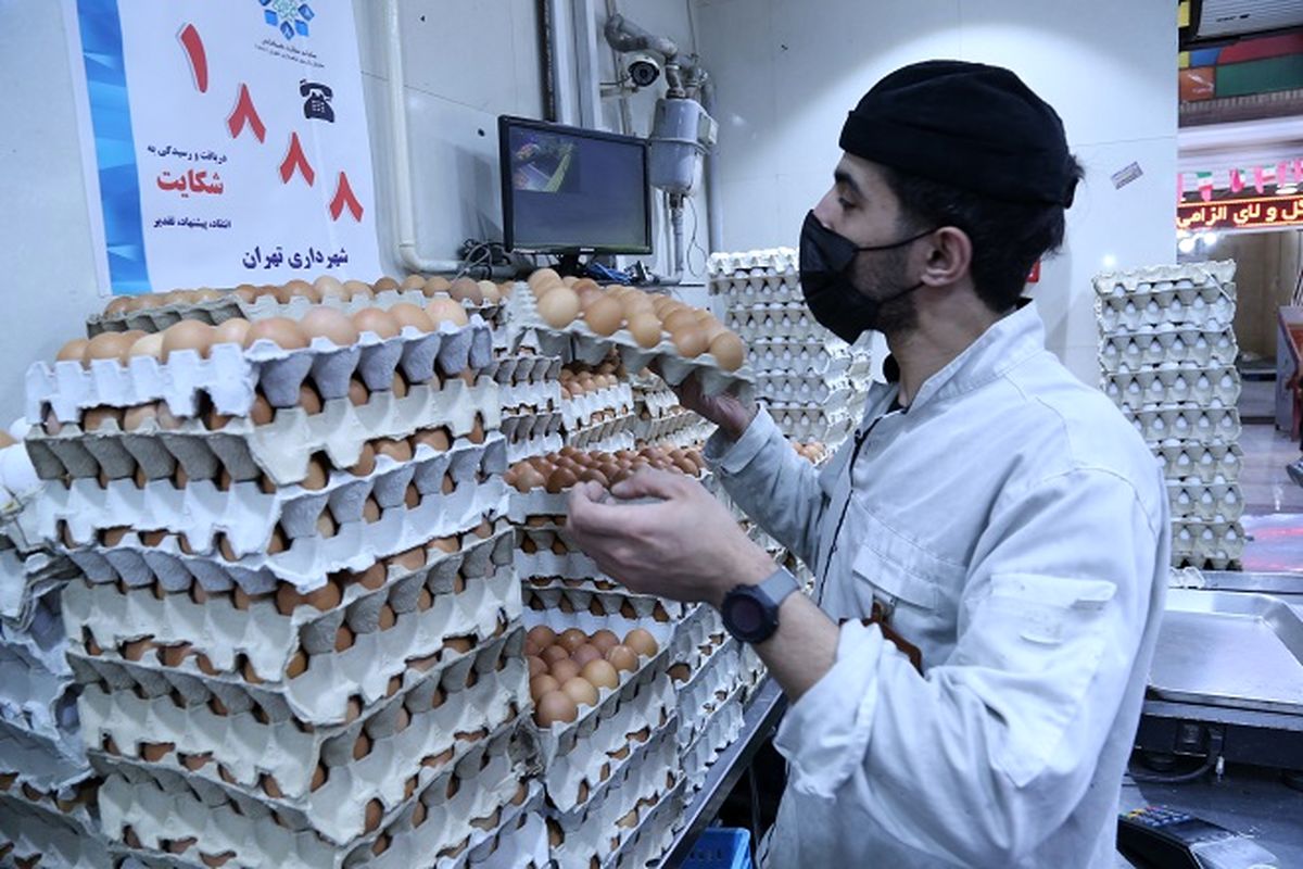 کمبودی در عرضه تخم مرغ وجود ندارد/ صادرات 2 هزار تن تخم مرغ در هفته