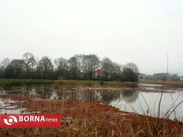 تالاب حاجی آباد لاهیجان