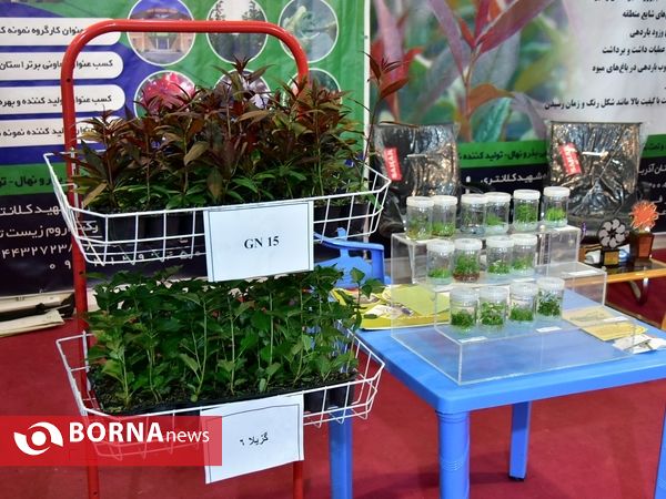 دوازدهمین نمایشگاه بین المللی کشاورزی ارومیه