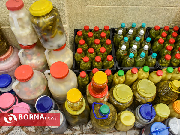 ماه منیر بانوی موفق کارآفرین